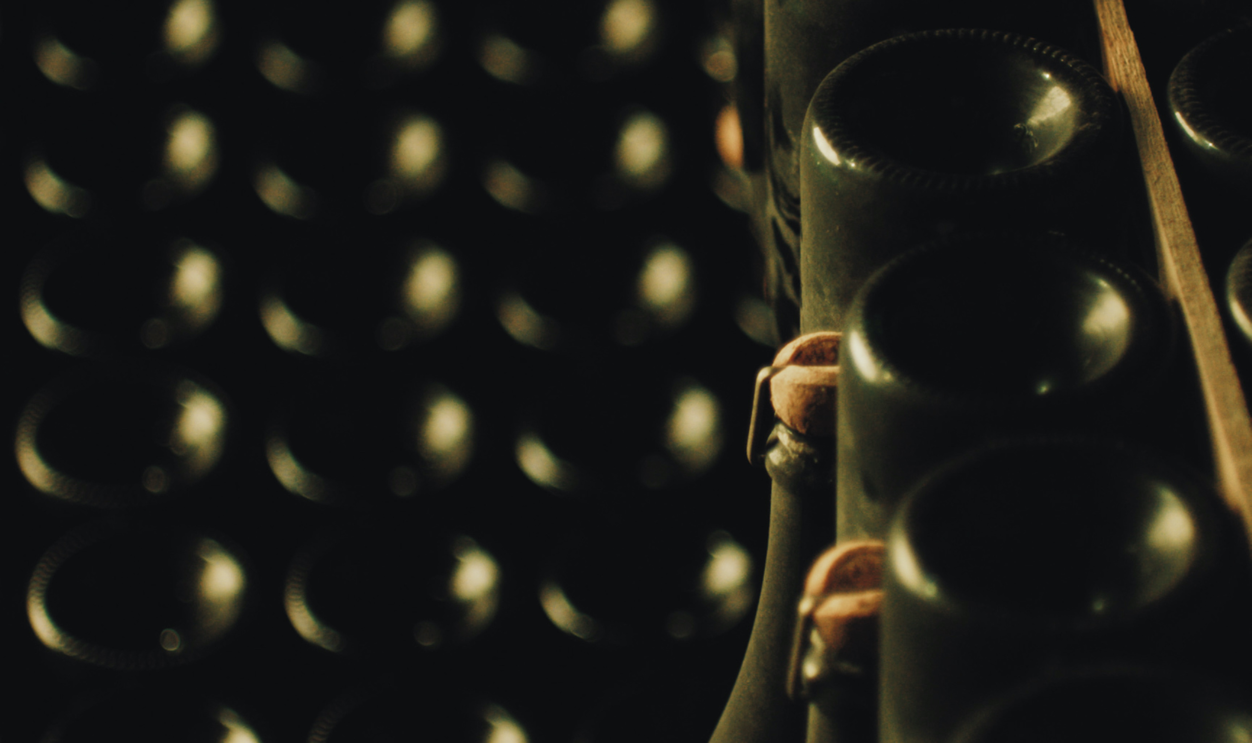 Cours de vin et d’analyse sensorielle en cave