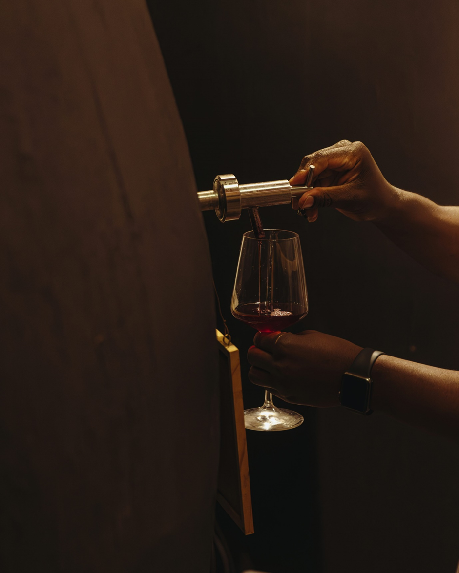 Service du vin dans un contexte de cave