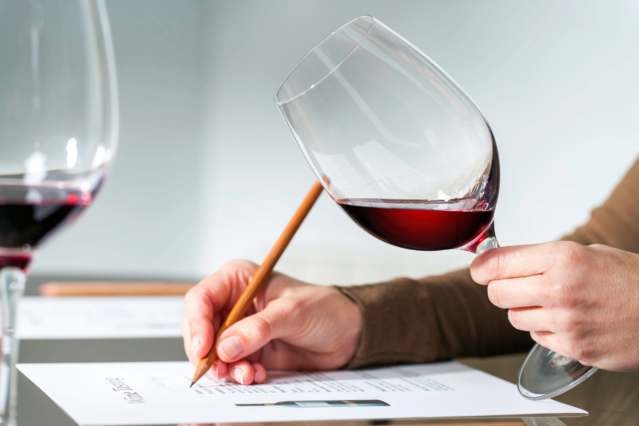 Analyse sensorielle autour d’un verre de vin