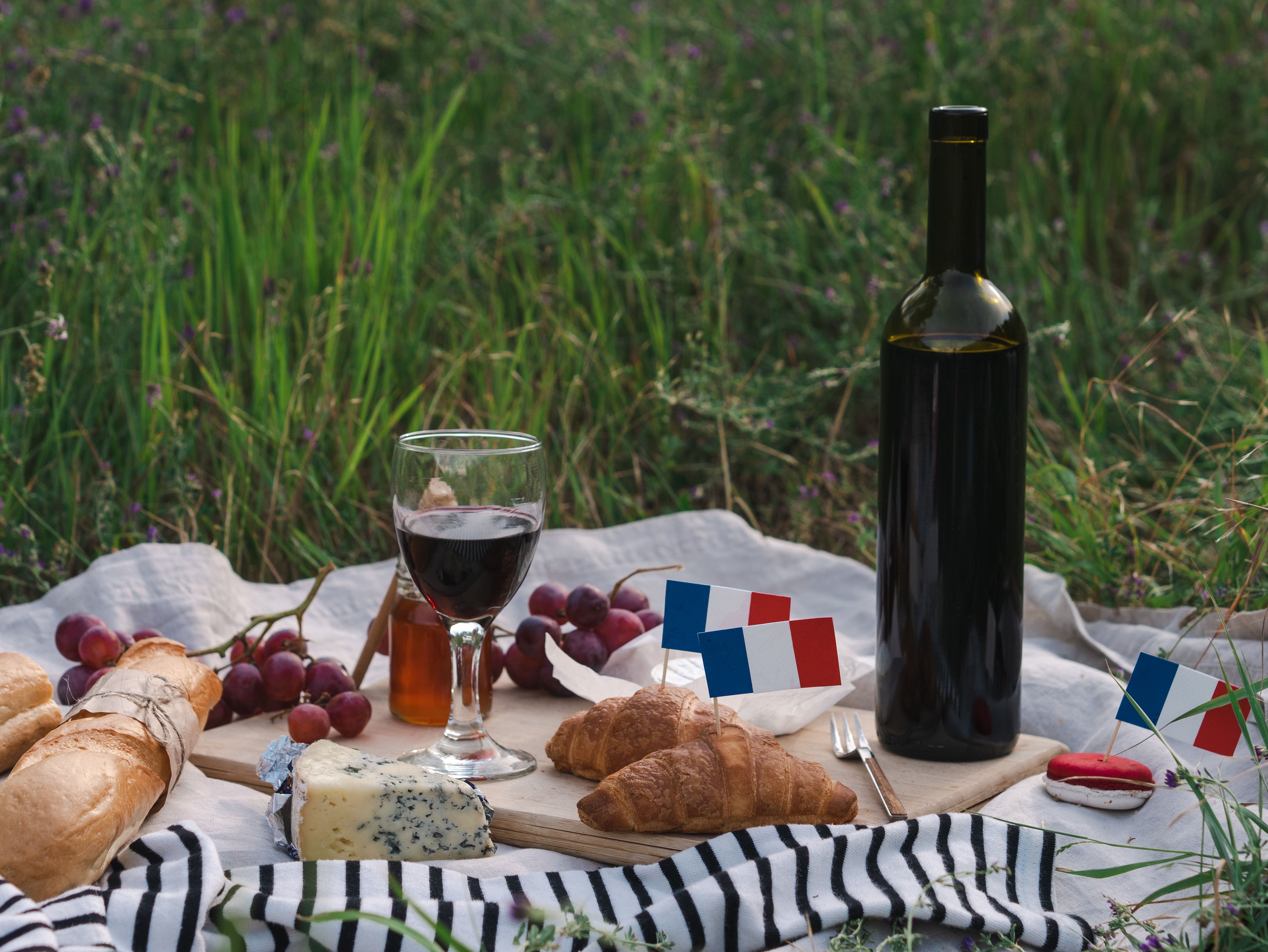 Vignoble et environnement de domaine viticole